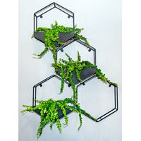 Plantr Sixy Hexagon Planter